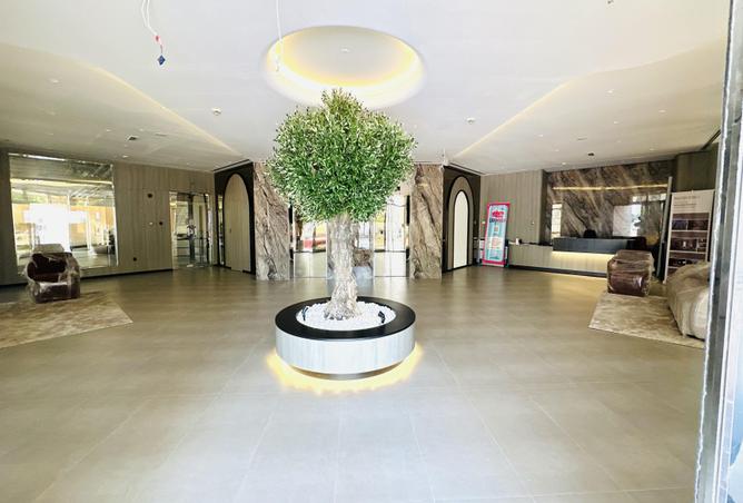 80275653 - صورة العقار 3