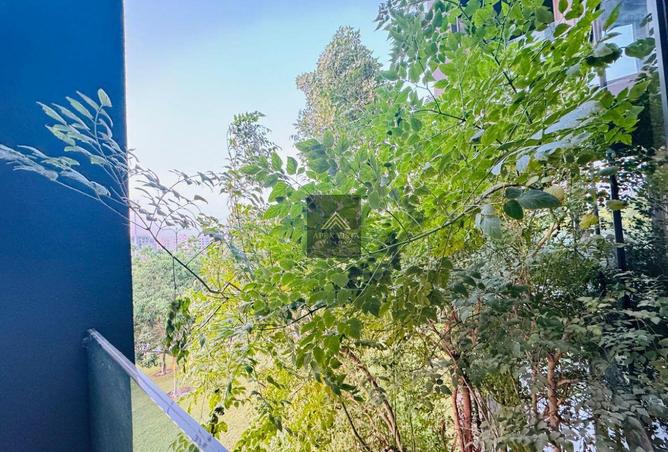 16176483 - صورة العقار 3