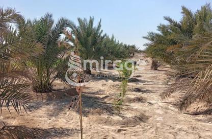 Land - Studio for sale in Al Ajban - Abu Dhabi
