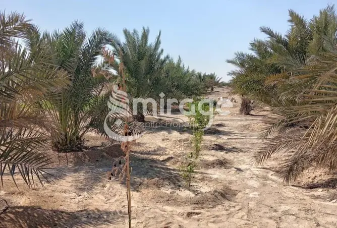 161429833 - Property Image 2