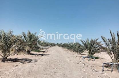 Land - Studio for sale in Al Ajban - Abu Dhabi