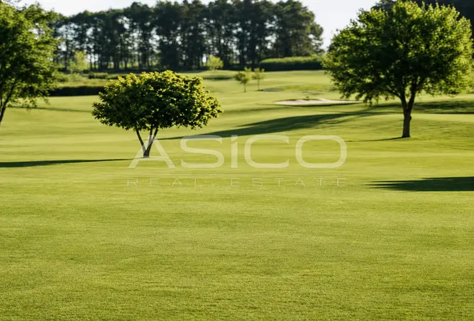 145517715 - Property Image 3