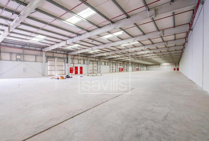 80248241 - صورة العقار 3