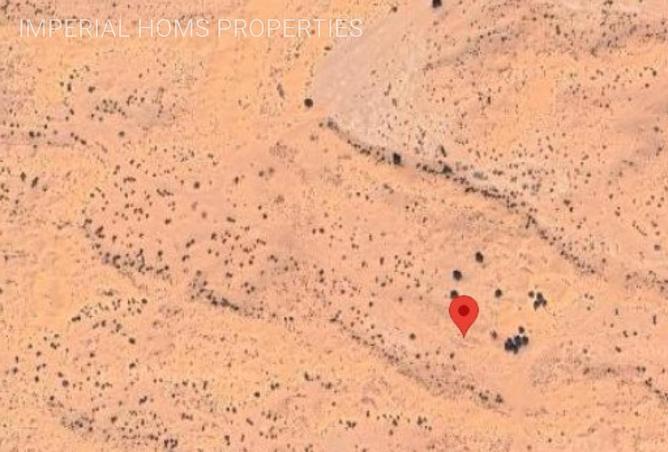 55350040 - Property Image 3