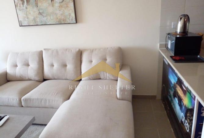 16327629 - Property Image 3