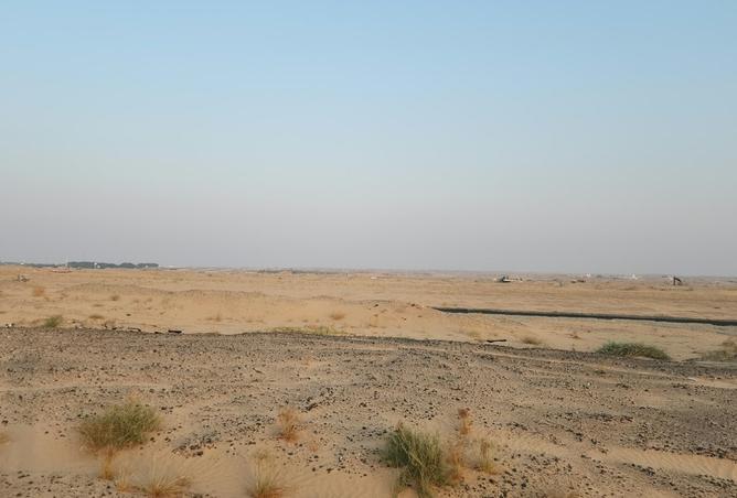 145089812 - صورة العقار 3