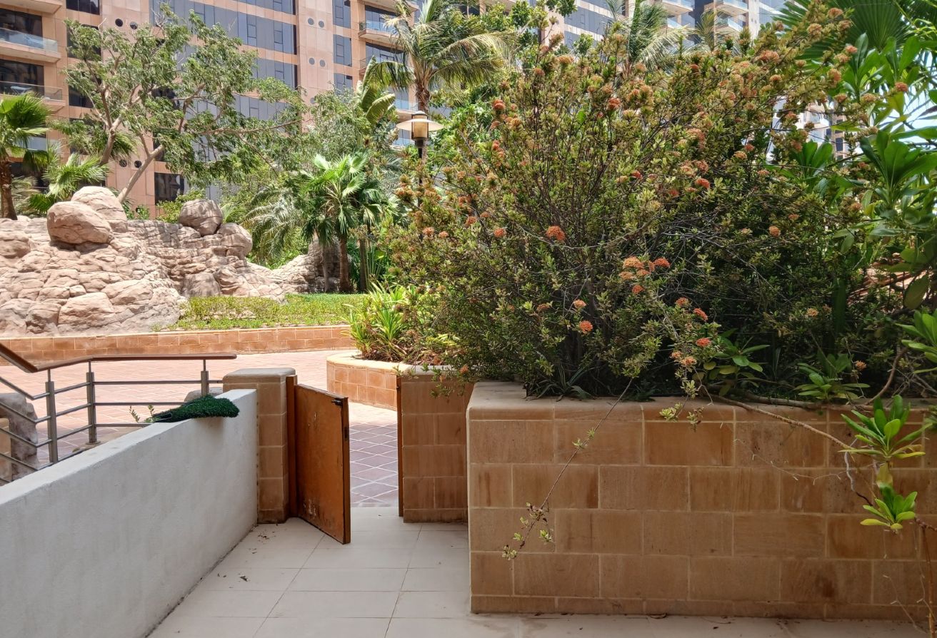 SPACIOUS 1BR | PARKING VIEW | UNFURNISHED gallery image