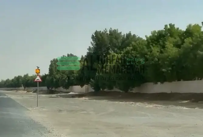 15994441 - صورة العقار 3