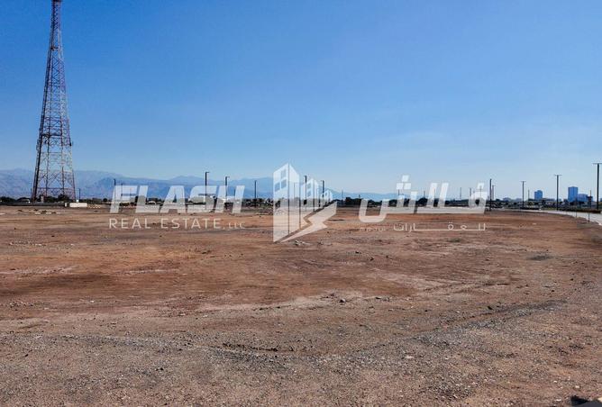 16068799 - Property Image 3