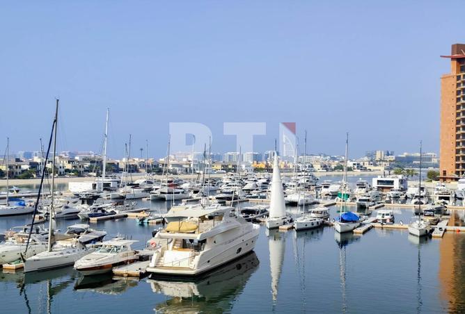 89618453 - صورة العقار 3