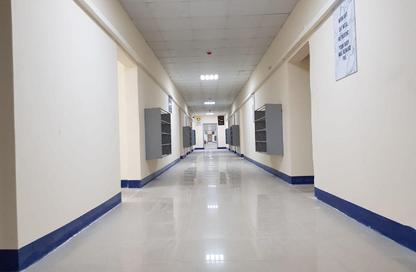 Labor Camp - Studio - 7+ Bathrooms for rent in M-43 - Mussafah Industrial Area - Mussafah - Abu Dhabi
