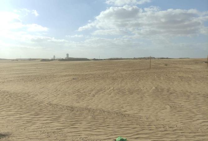 82816980 - Property Image 2