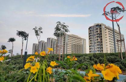Hotel  and  Hotel Apartment - 1 Bedroom - 2 Bathrooms for sale in Viridis C - Viridis Residence and Hotel Apartments - Damac Hills 2 - Dubai