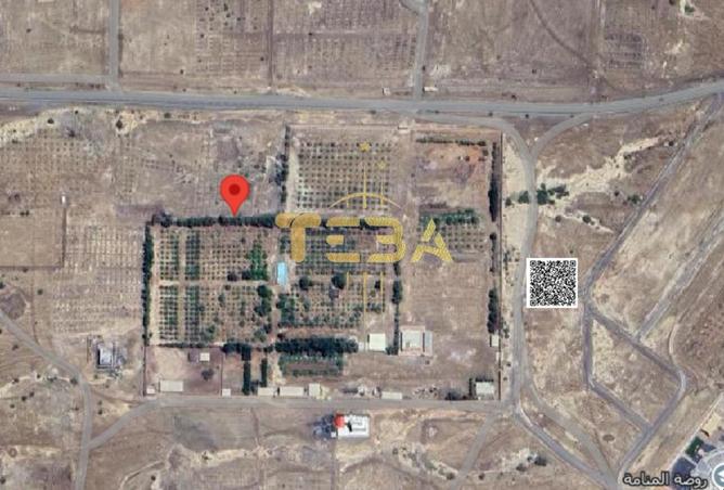 15886836 - صورة العقار 2