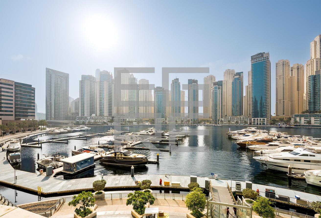 Full Marina View | Luxury | Rare Unit photo 5