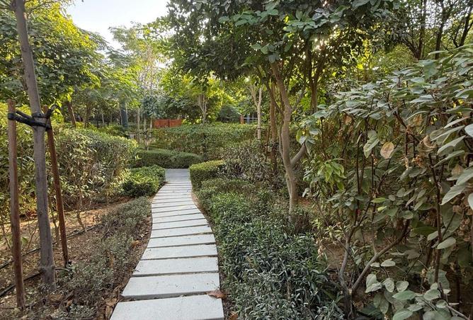 64402847 - Property Image 3