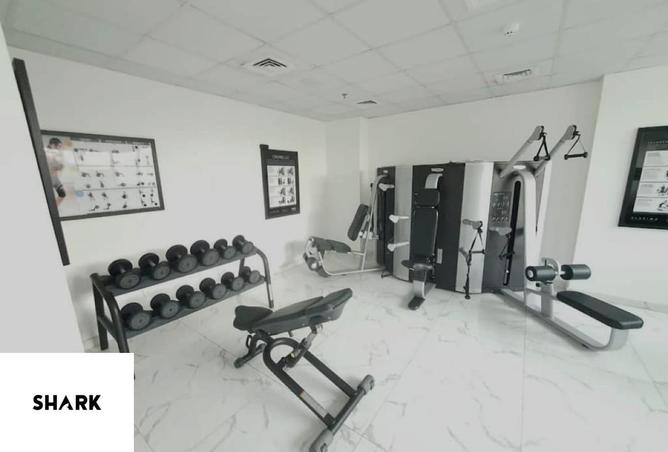 62877827 - Property Image 3