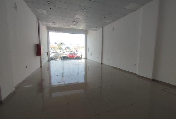 16230656 - Property Image 2