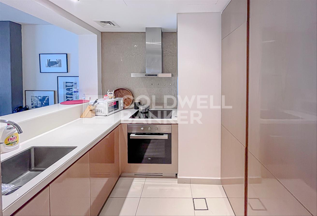 Fully Furnished | On A High Floor | Park View photo 10