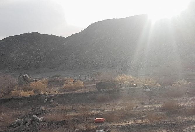 103239738 - صورة العقار 2