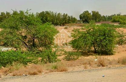 أرض - استوديو للبيع في 1 الياسمين - الياسمين - عجمان