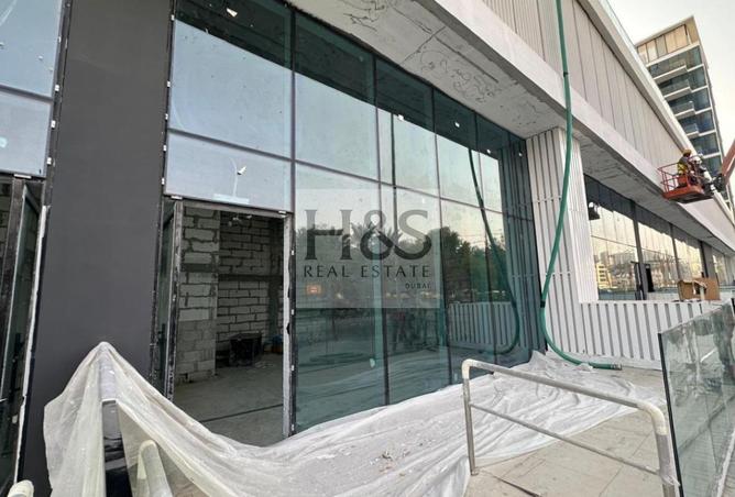 16297106 - Property Image 3