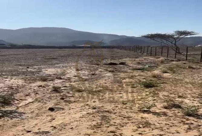 57381602 - Property Main Image