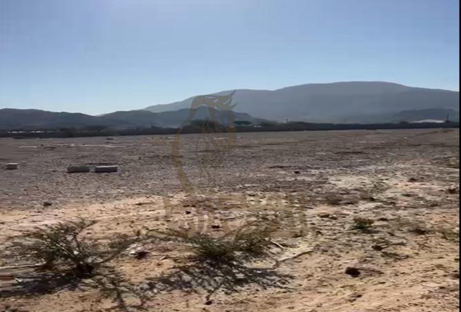 57381602 - Property Image 2