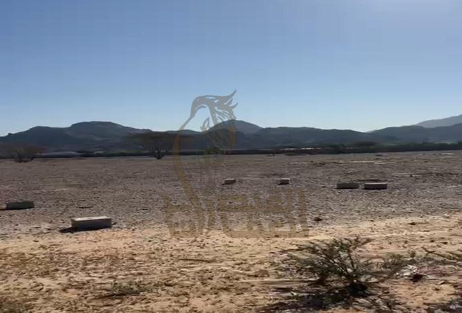 57381602 - Property Image 3