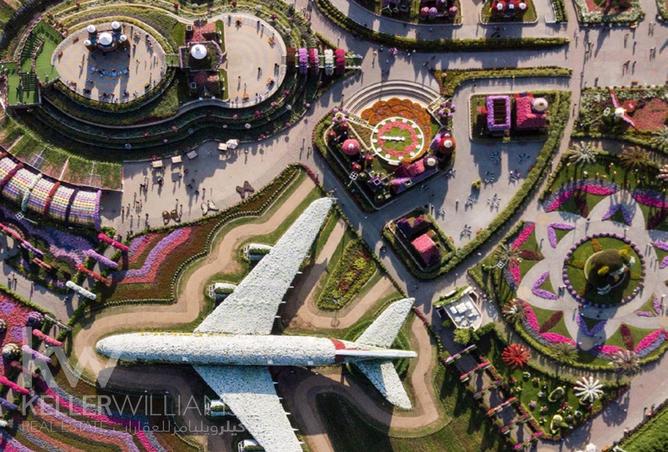 81520727 - Property Image 2