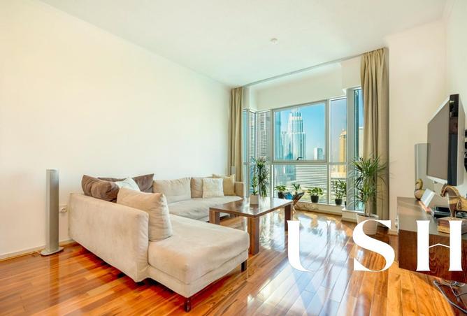 16162945 - Property Image 3