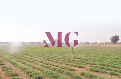 Farm - Studio for sale in Al Samha - Abu Dhabi Farm - Studio for sale in Al Samha - Abu Dhabi