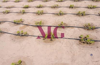 Farm - Studio for sale in Al Samha - Abu Dhabi Farm - Studio for sale in Al Samha - Abu Dhabi