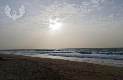 شقة - 2 غرف نوم - 2 حمامات للايجار في شمس 1 - شمس - جميرا بيتش ريزيدنس - دبي شقة - 2 غرف نوم - 2 حمامات للايجار في شمس 1 - شمس - جميرا بيتش ريزيدنس - دبي