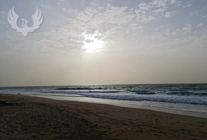 123359833 - صورة العقار 3