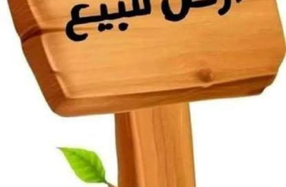 Land - Studio for sale in Manama - Ajman