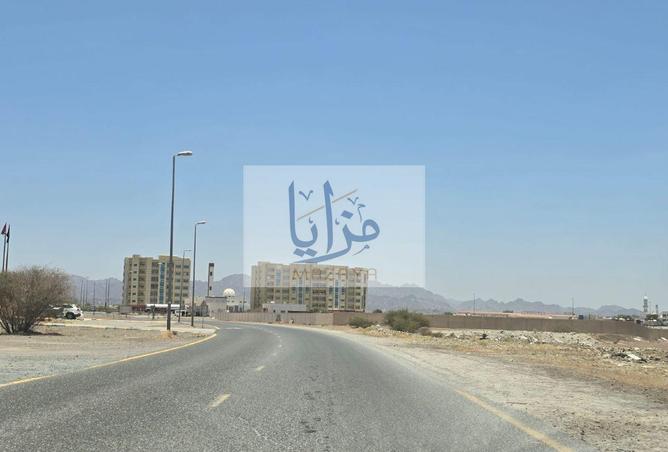 106834656 - Property Image 2