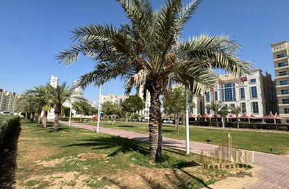 شقة - غرفة نوم - 2 حمامات للايجار في قرية الاميرة - الياسمين - عجمان