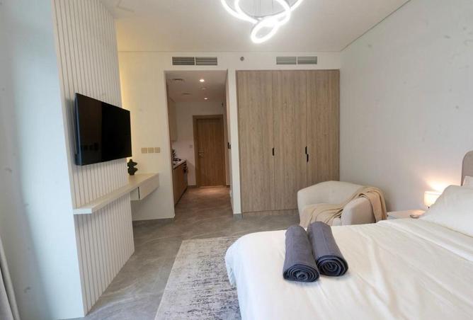 16295856 - Property Image 3