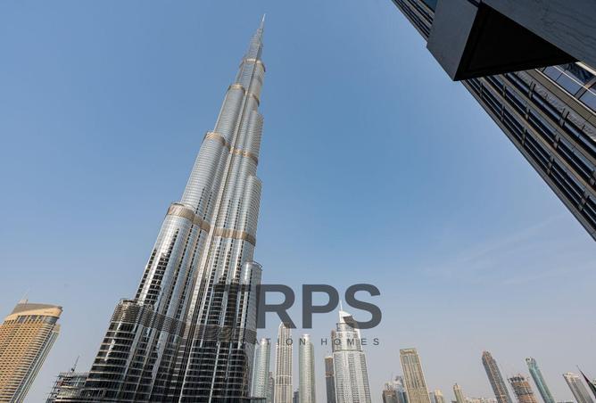 16272992 - Property Image 3