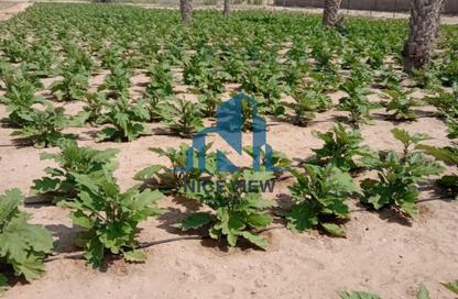 Farm - Studio for sale in Al Samha - Abu Dhabi