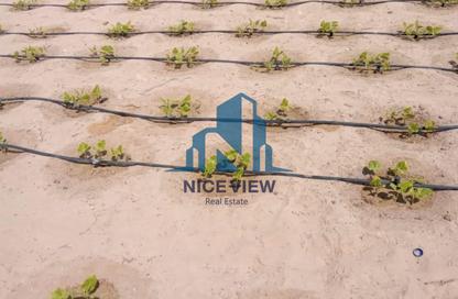 Farm - Studio for sale in Al Samha - Abu Dhabi