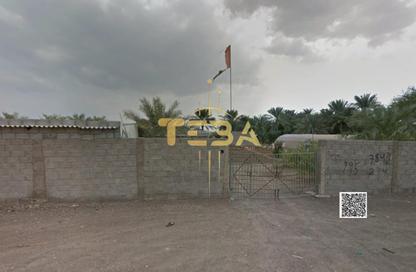 Farm - Studio for sale in Manama - Ajman