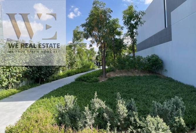 125184831 - Property Image 3