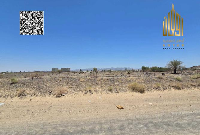 116801352 - Property Image 3