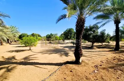 مزرعة - استوديو للبيع في الختم - أبوظبي