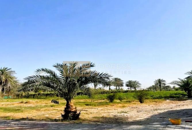 76574459 - Property Image 2