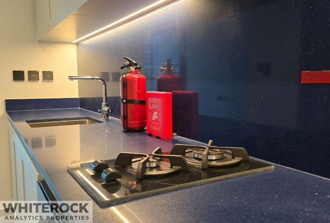 77785509 - صورة العقار 3