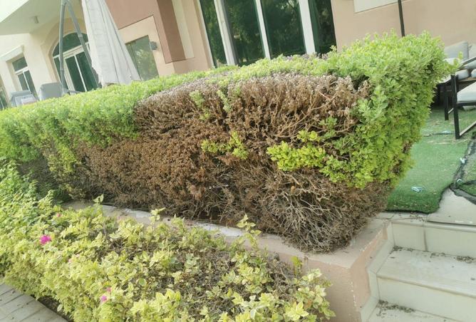 67441253 - Property Image 2