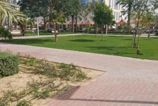 85335659 - صورة العقار 2